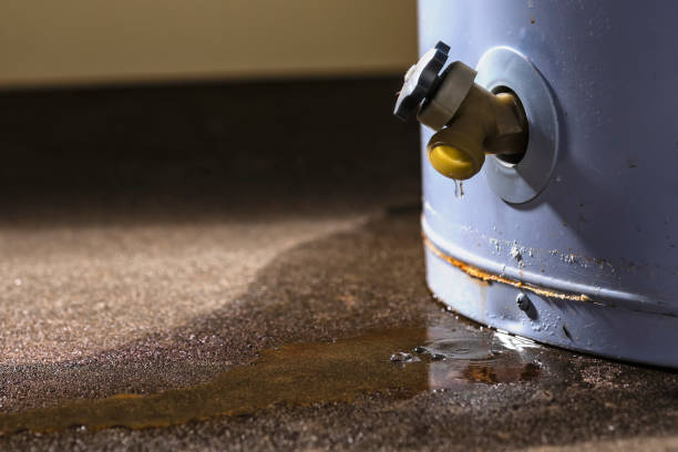 Best 24-hour water damage restoration  in Brook Park, OH