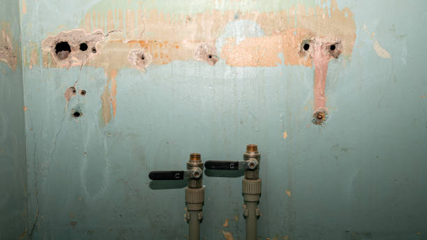 Best Sewage cleanup and water damage restoration  in Brook Park, OH