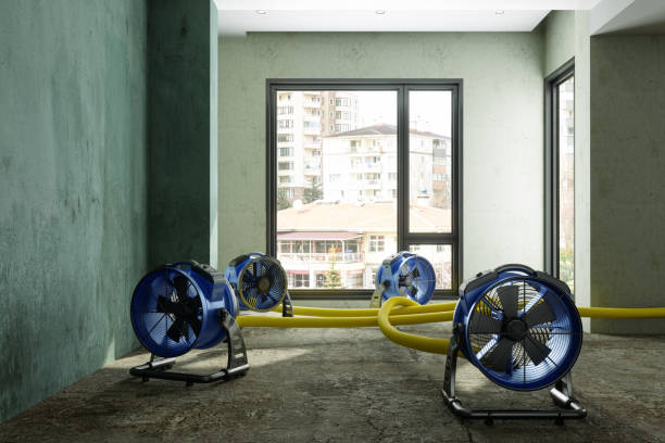 Best Water damage contractors near me  in Brook Park, OH
